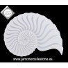 Plato FOSIL NAUTILUS